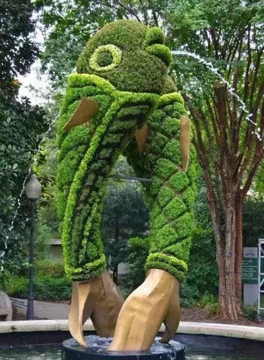 11月4，有群的都看看，太美了，这一辈子见一次值了！