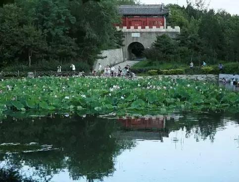 北京这38个森林公园您都去吗？先收藏了，有空咱们玩个遍！