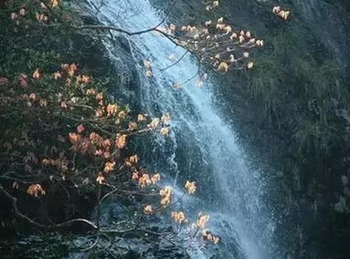 北京这38个森林公园您都去吗？先收藏了，有空咱们玩个遍！