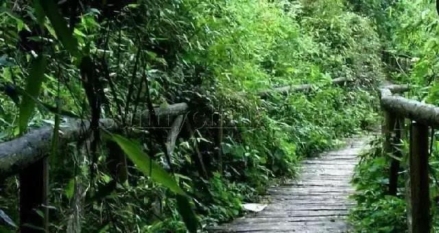 北京这38个森林公园您都去吗？先收藏了，有空咱们玩个遍！