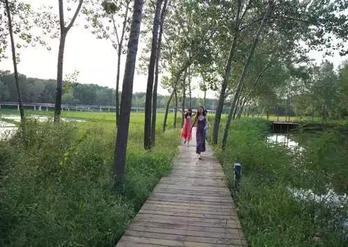 北京这38个森林公园您都去吗？先收藏了，有空咱们玩个遍！