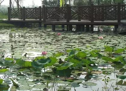 北京这38个森林公园您都去吗？先收藏了，有空咱们玩个遍！