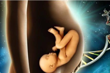 揭秘胎儿性别形成过程，原来跟想象的并不一样！