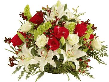 11月4，有群的都看看，太美了，这一辈子见一次值了！