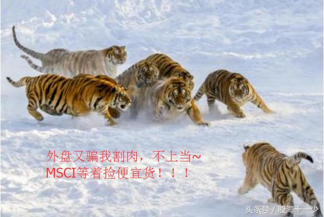 看期货炒股靠谱吗,看外盘内盘