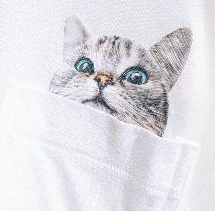 pauljoesister,pauljoe鐚挭