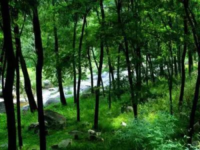 北京这38个森林公园您都去吗？先收藏了，有空咱们玩个遍！