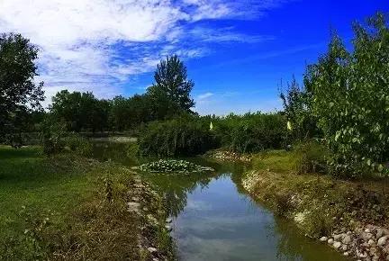 北京这38个森林公园您都去吗？先收藏了，有空咱们玩个遍！