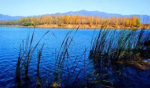 北京这38个森林公园您都去吗？先收藏了，有空咱们玩个遍！