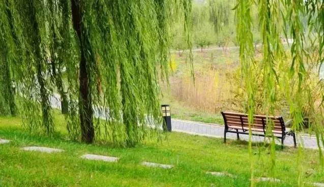 北京这38个森林公园您都去吗？先收藏了，有空咱们玩个遍！