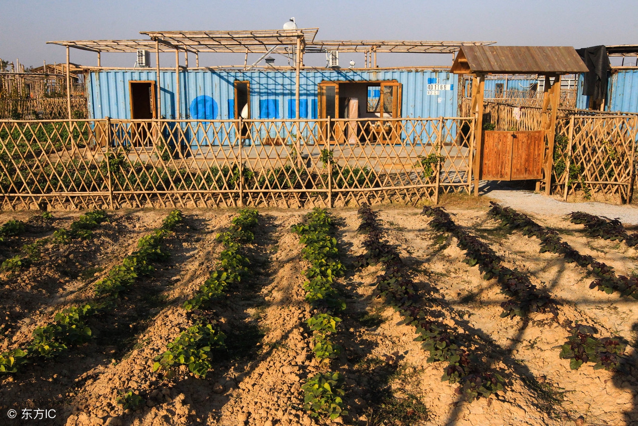 农业项目怎样才能拿到补贴,农业项目如何获取国家补贴资金