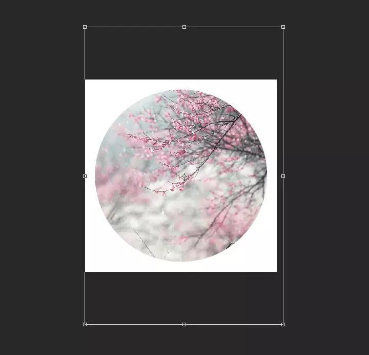 ps怎么在图层上画框,ps做出唯美效果