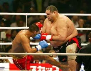 散打规则可以踢裆么,散打比赛中途踢裆算谁赢