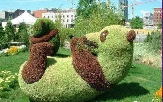 11月4，有群的都看看，太美了，这一辈子见一次值了！