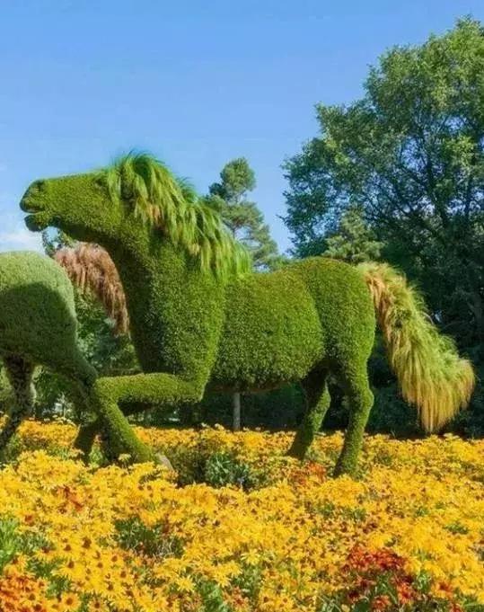 11月4，有群的都看看，太美了，这一辈子见一次值了！