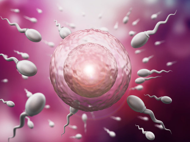 雨露均沾并非仅是调侃,雨露均沾是褒义还是贬义