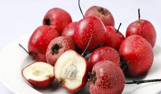 有没有食物是真的回奶的,哪些食材是回奶的