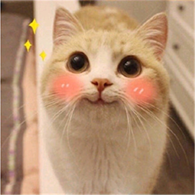 korol职业赛,nba2kol重返赛场