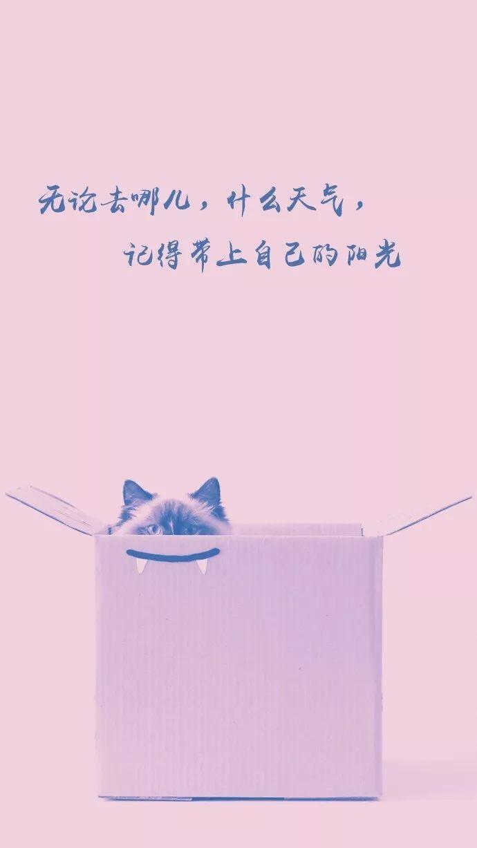 属鼠的女人的优点,属鼠优点
