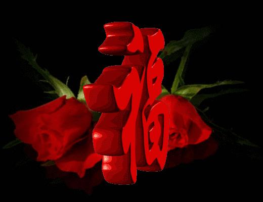 中华田园犬纪录片黑子,07年中华田园犬黑子