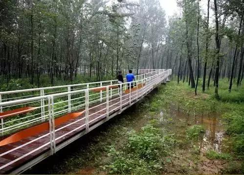 北京这38个森林公园您都去吗？先收藏了，有空咱们玩个遍！