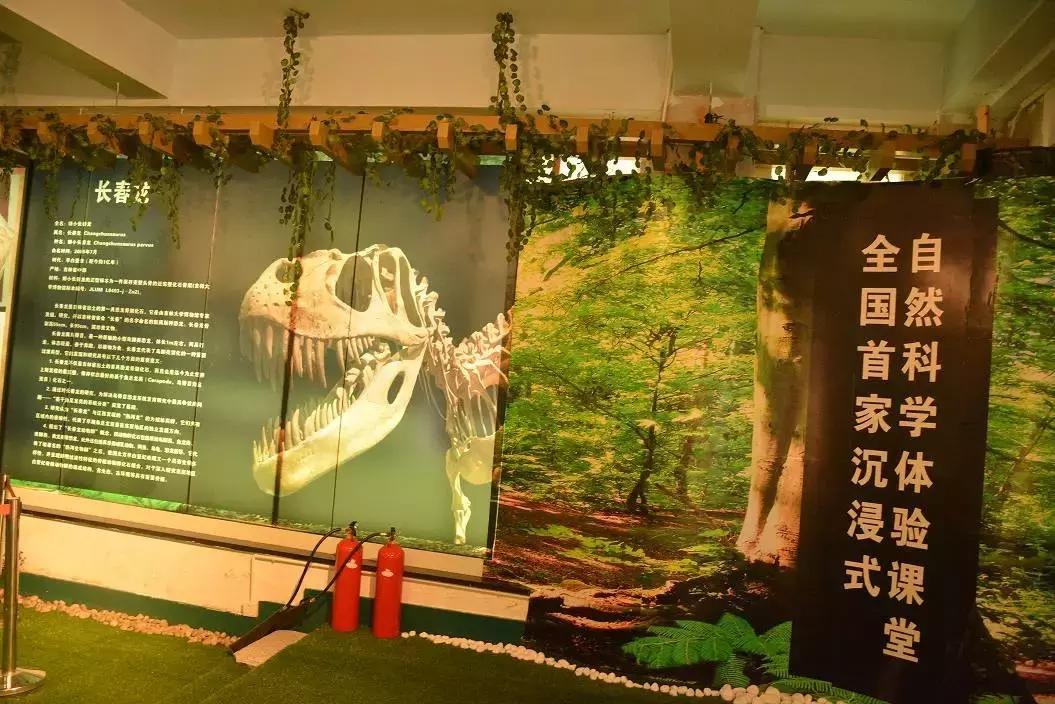 十一高今年高考咋样,十一高上学