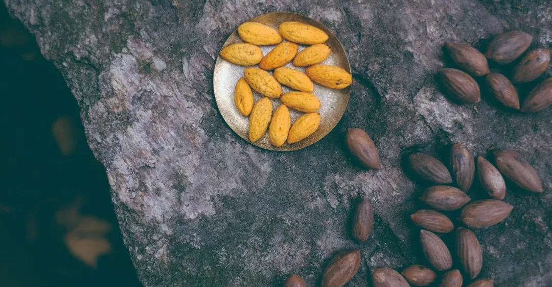 西施最爱的零食，恐龙时代已经存在，找遍整个中国才找到