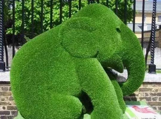 11月4，有群的都看看，太美了，这一辈子见一次值了！