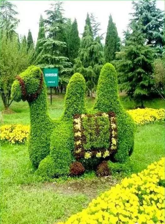 11月4，有群的都看看，太美了，这一辈子见一次值了！