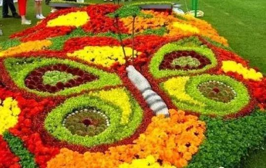 11月4，有群的都看看，太美了，这一辈子见一次值了！