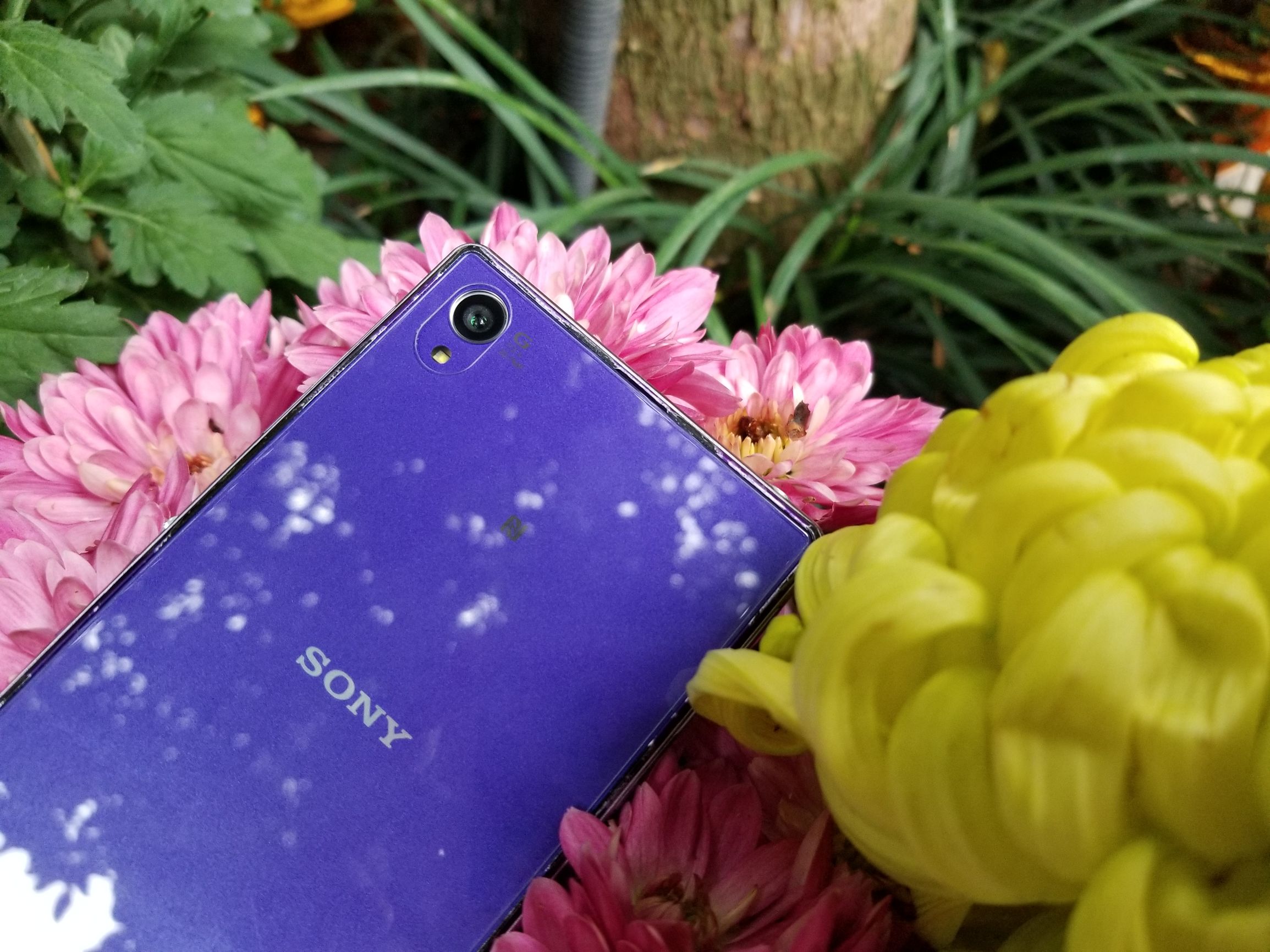 索尼xperiaz1升级安卓,xperiaz1更新