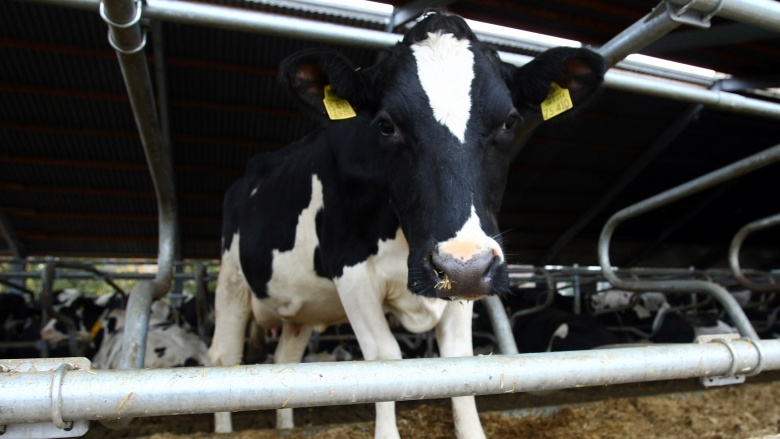 全是添加剂你还敢吃吗,十种添加剂最好不要吃