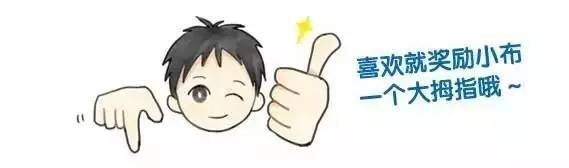 上海迪士尼探店,迪士尼探索营