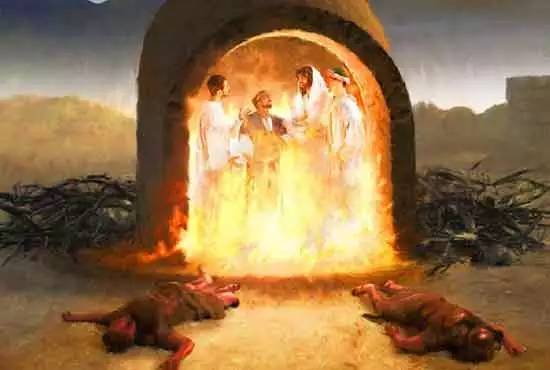 威尔第纳布科的歌剧鉴赏,威尔第纳布科