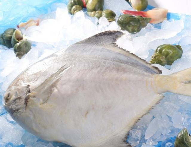 青岛最值得去的特产推荐,青岛最正宗的特产是什么