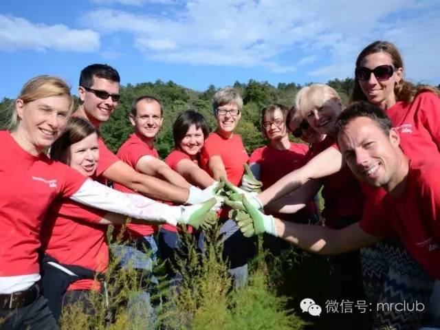 美国排名前十的医药公司,美国前十强企业排名