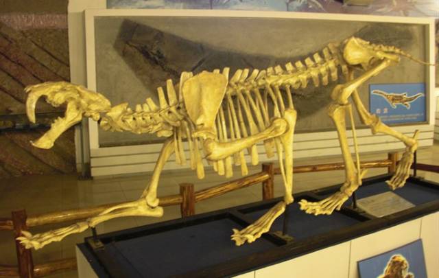 武汉下雨天带娃好去处,武汉雨后适合去哪里玩