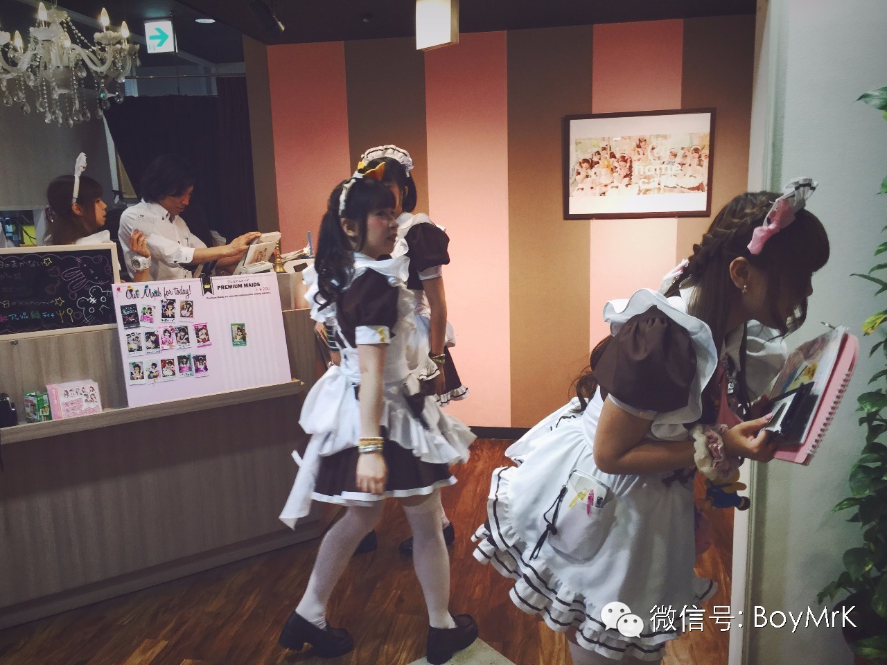 私享丨在没有爱情故事的东京，度过悠长假期,内含福利