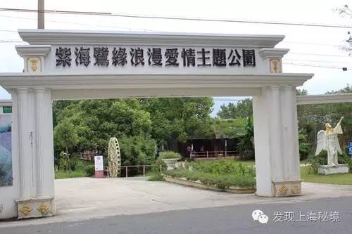 赏花上海植物园,赏花需要的是什么