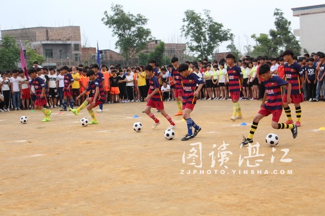 吴川文化艺术节,吴川唐禄中学足球