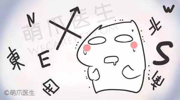 狗狗见女主人癫痫发作,狗狗癫痫一小时发作10次