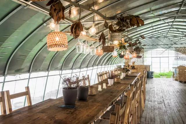 暂时逃离全是回忆的城市,暂时逃离城市的喧嚣和纷扰