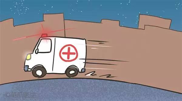 狗狗见女主人癫痫发作,狗狗癫痫一小时发作10次