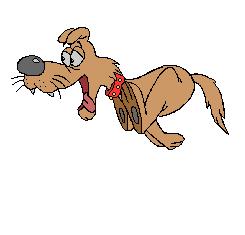 干货丨黄芪在宠物临床上的妙用