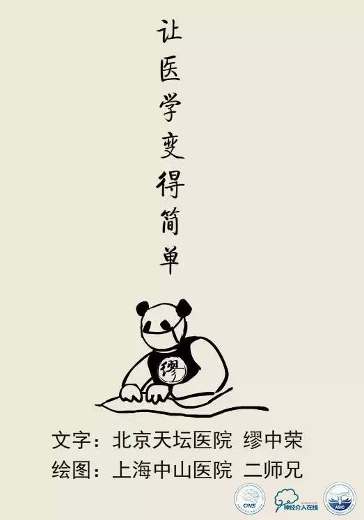 熊猫医生阿缪：脑动静脉畸形怎么破