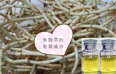 网上的驱蚊神器真的有效果吗,网上的驱蚊神器有没有效果