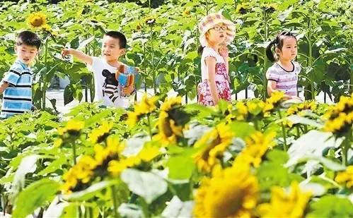 重庆周边亲子游避暑玩水 (五一重庆周边适合小孩游玩的景点)