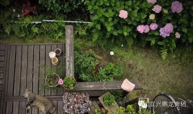 开着豪车游西湖,开着豪车去酒吧溜达