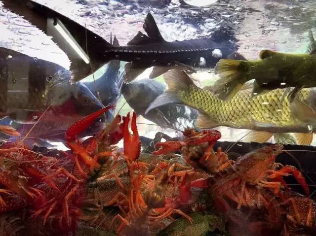 宁波北仑苍蝇馆子排名,宁波小馆子推荐