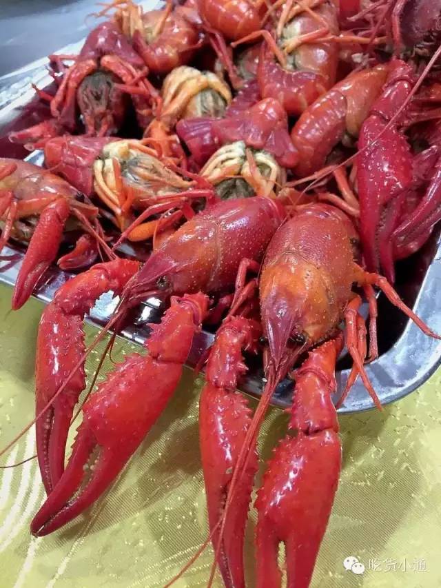 宁波北仑苍蝇馆子排名,宁波小馆子推荐